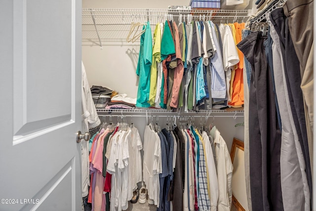 view of walk in closet