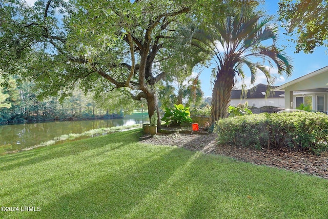 view of yard with a water view