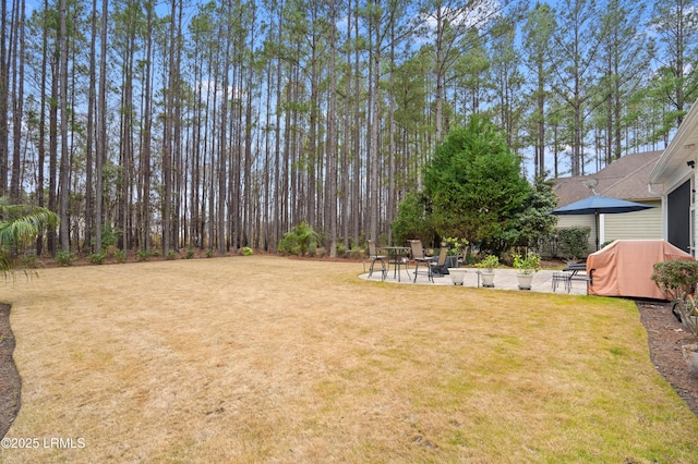 view of yard featuring a patio area