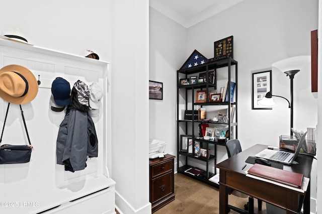 mudroom with dark hardwood / wood-style flooring