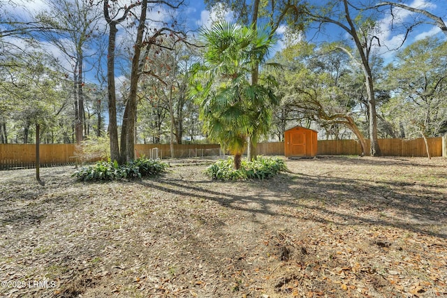 view of yard with a shed