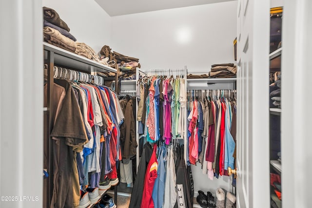 91 Heartstone Cir, Bluffton, SC 29910 - view of spacious closet