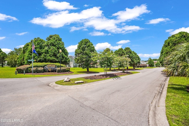 91 Heartstone Cir, Bluffton, SC 29910 - view of asphalt road with curbs and street lights