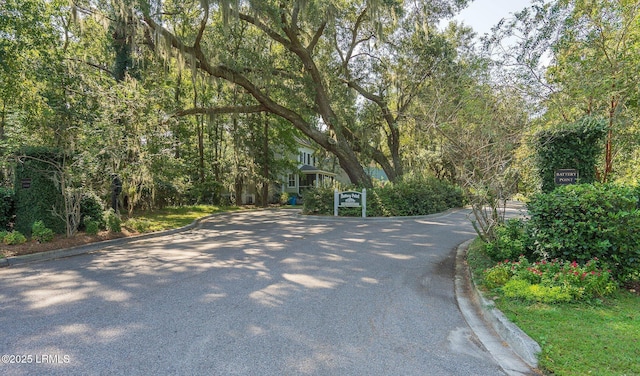 8 Battery Point Ln, Beaufort, SC 29902 - view of asphalt road with curbs and a forest view