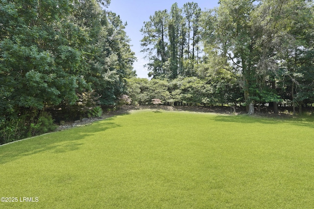 19 Lynnfield Pl, Bluffton, SC 29910 - view of green lawn