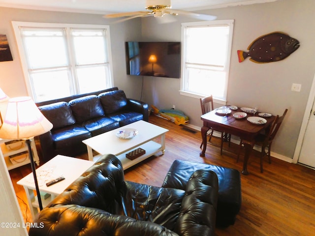 living room with hardwood / wood-style floors and ceiling fan