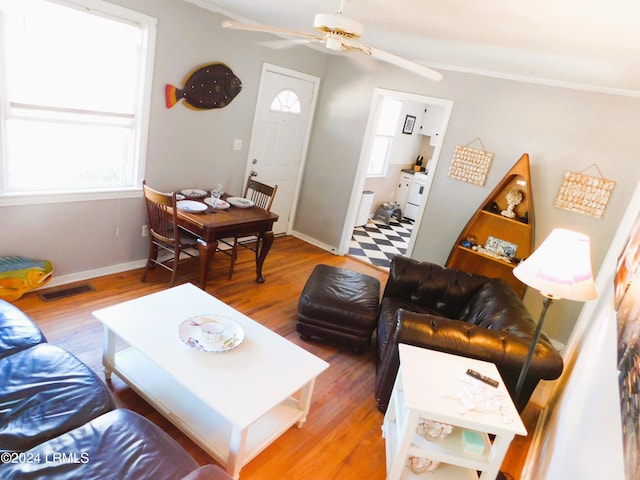 living room with ceiling fan and hardwood / wood-style floors