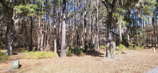340 Twickenham Loop, Yemassee, SC 29945