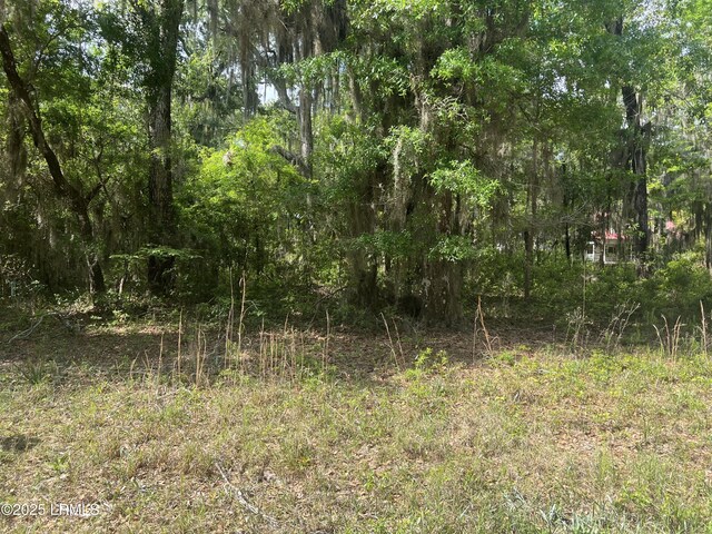 34 Beach Rd, Daufuskie Island, SC 29915 - photo 3