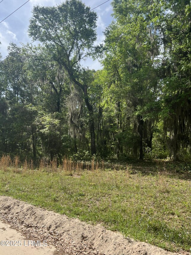 34 Beach Rd, Daufuskie Island, SC 29915 - photo 4