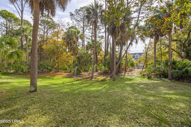 838 Fiddlers Ridge Rd, Fripp Island, SC 29920 - view of green lawn