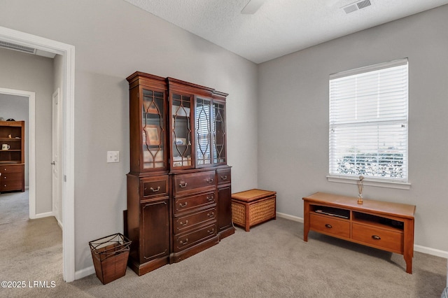 miscellaneous room featuring light carpet, visible vents, a textured ceiling, and baseboards