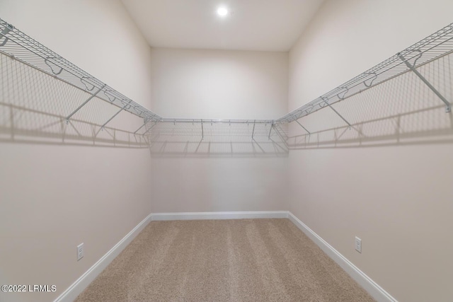 walk in closet featuring carpet