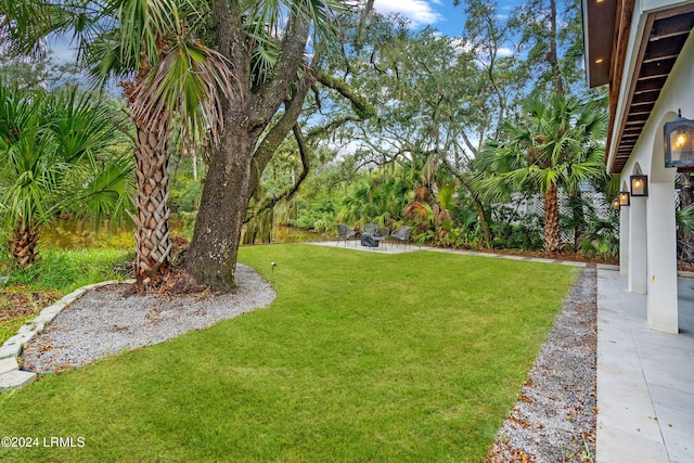 view of yard with a patio area