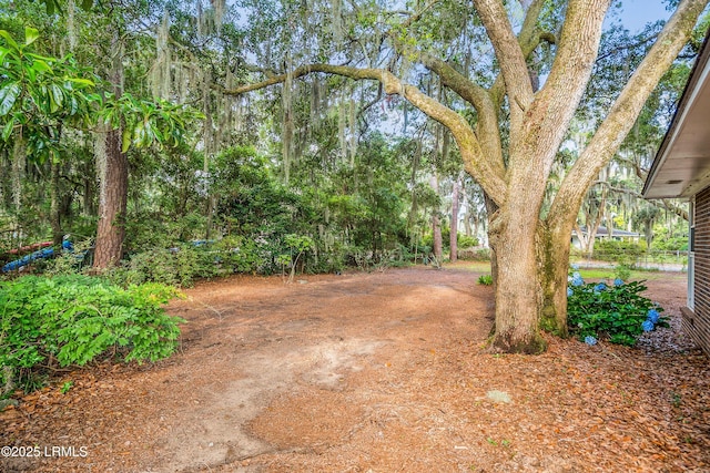 1711 Narcissus Ln, Beaufort, SC 29902 - photo 35