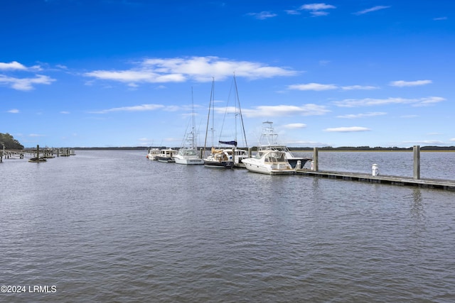 dock area with a water view