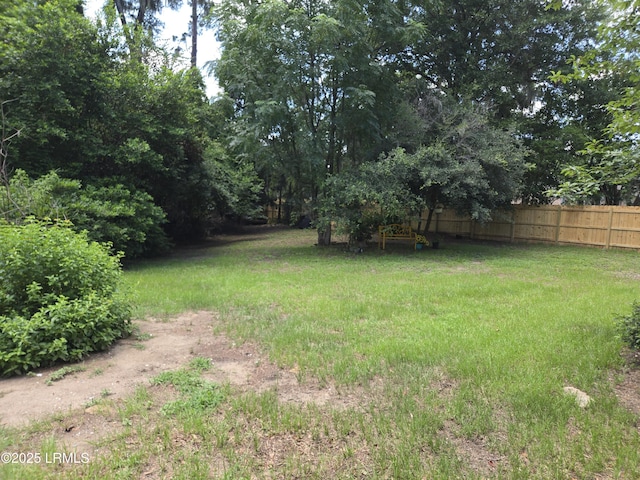 522 Meritta Ave, Beaufort, SC 29902 - view of yard