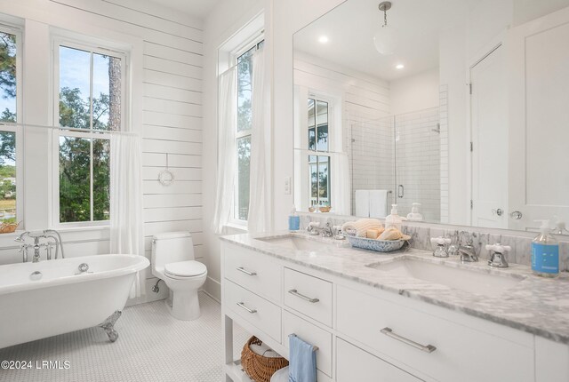 full bathroom with tile patterned flooring, plus walk in shower, a healthy amount of sunlight, and vanity