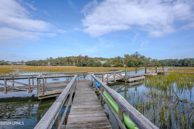 dock area with a water view