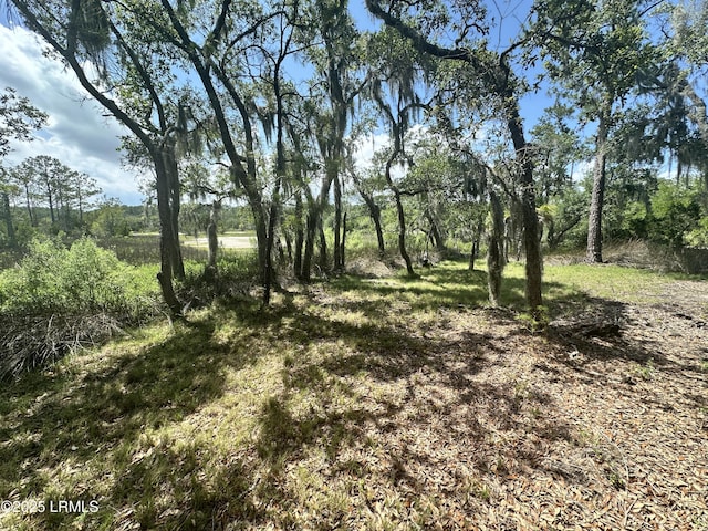 8 Hester Ln, Beaufort, SC 29907