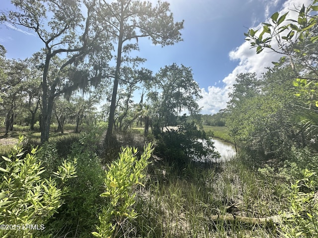 8 Hester Ln, Beaufort, SC 29907
