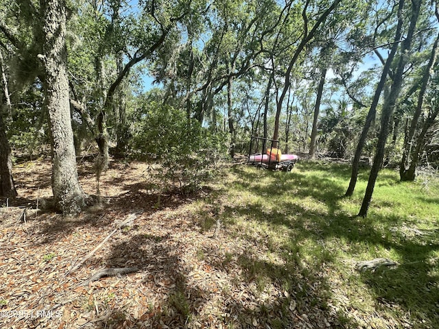 8 Hester Ln, Beaufort, SC 29907