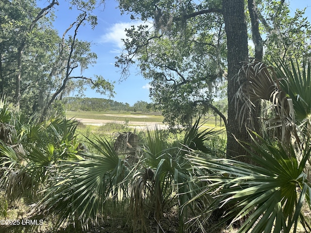 8 Hester Ln, Beaufort, SC 29907