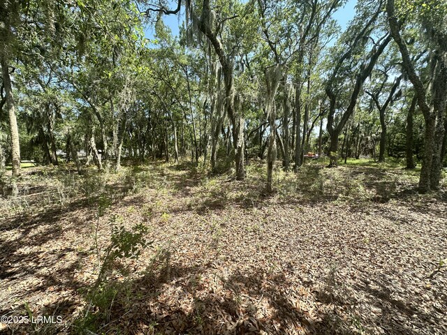 8 Hester Ln, Beaufort, SC 29907