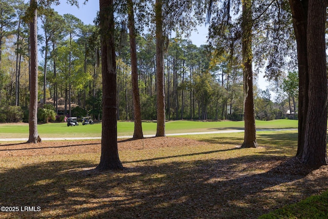 67 Winding Oak Dr, Okatie, SC 29909 - surrounding community with a yard