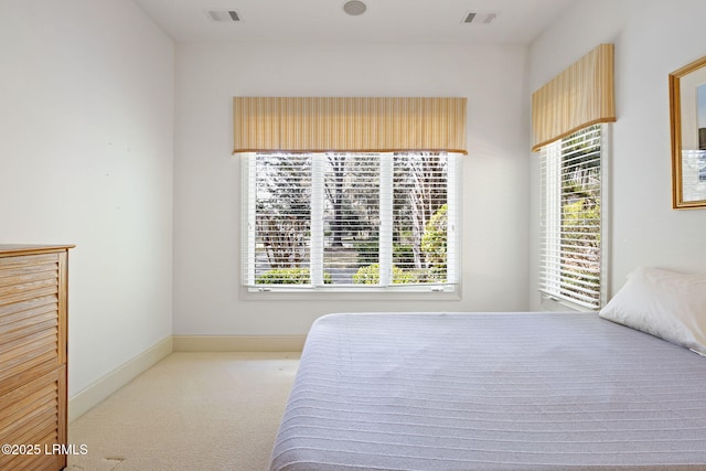 67 Winding Oak Dr, Okatie, SC 29909 - bedroom with carpet and baseboards