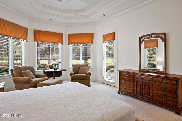 67 Winding Oak Dr, Okatie, SC 29909 - bedroom with access to exterior, light colored carpet, multiple windows, crown molding, and a tray ceiling