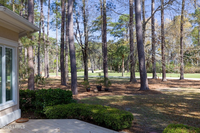67 Winding Oak Dr, Okatie, SC 29909 - view of yard