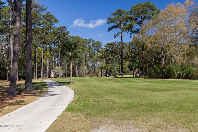 67 Winding Oak Dr, Okatie, SC 29909 - view of home's community with a lawn and view of scattered trees