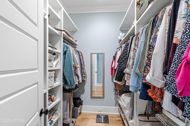 walk in closet featuring light wood-type flooring