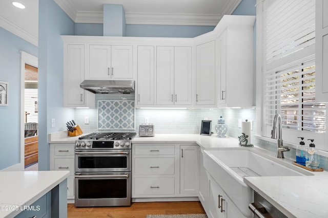 kitchen with sink, white cabinetry, crown molding, stainless steel appliances, and decorative backsplash