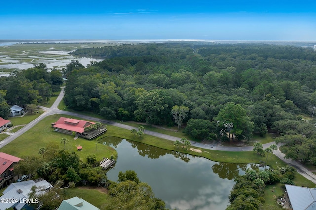 aerial view with a water view