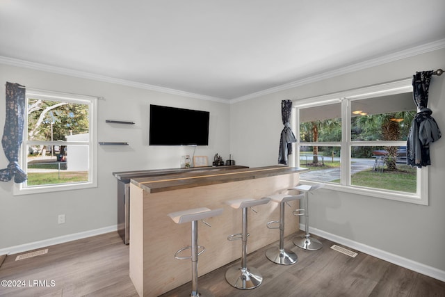 bar with hardwood / wood-style floors and ornamental molding