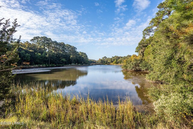 289 Orange Grove Rd, Saint Helena Island, SC 29920 - photo 5
