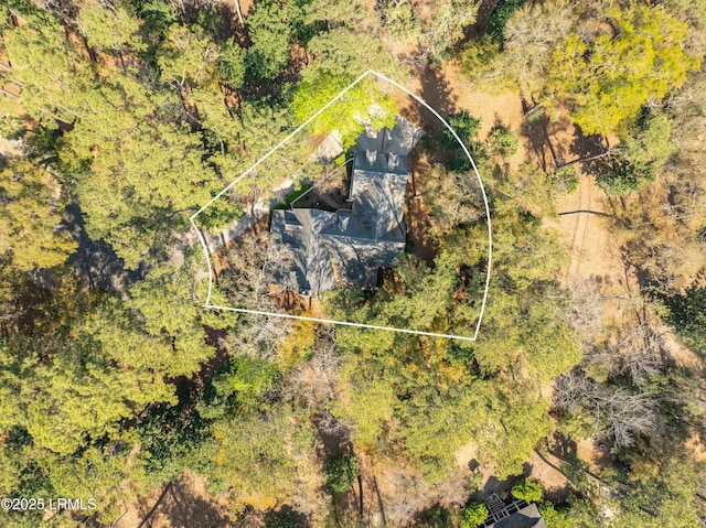 drone / aerial view
