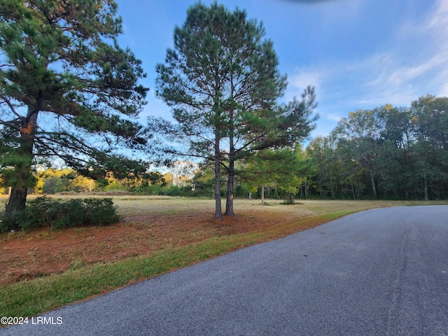 Listing photo 3 for 1082 Settings Dr E, Yemassee SC 29945