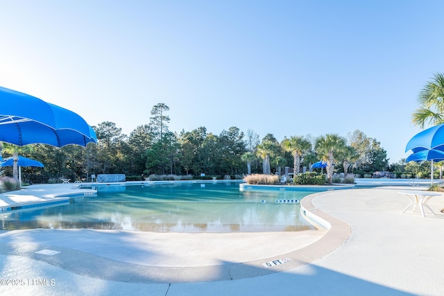 pool with a patio area