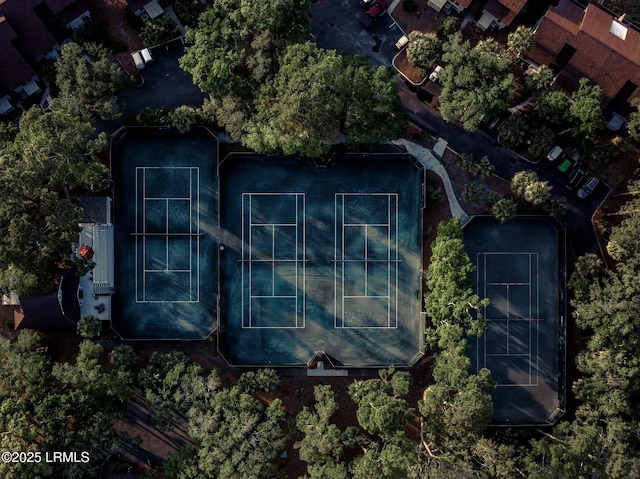 bird's eye view