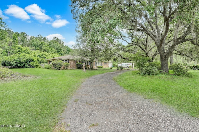 ranch-style home with a front yard