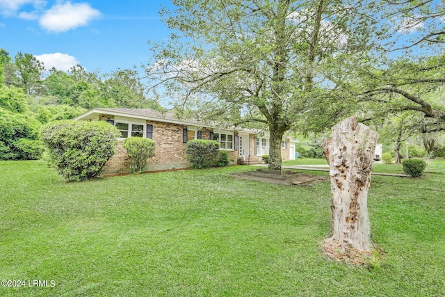 view of front of property with a front lawn