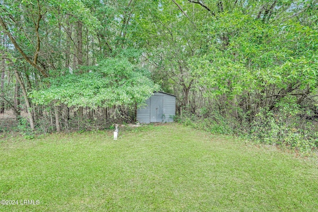 view of yard featuring a shed