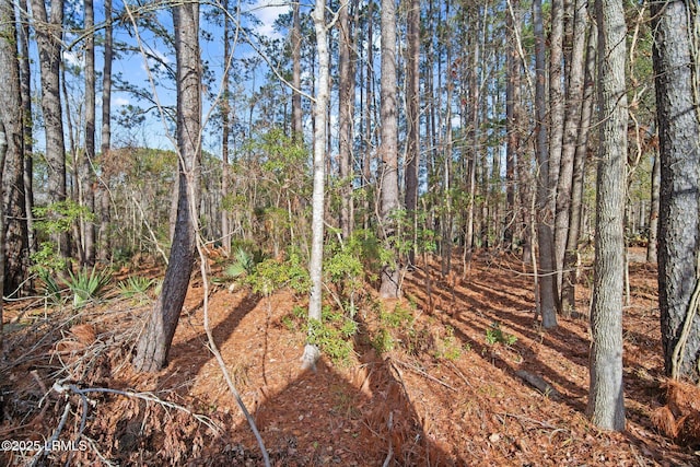 view of local wilderness featuring a wooded view