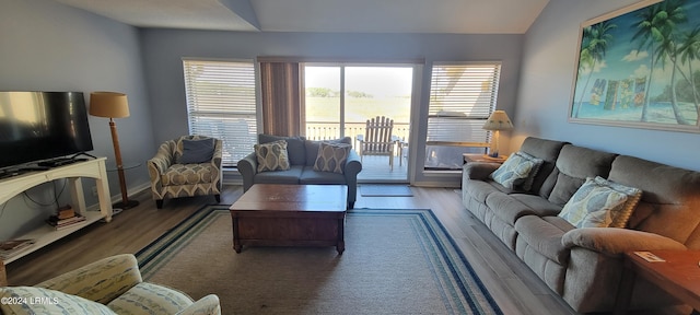 living room featuring dark wood-type flooring and vaulted ceiling
