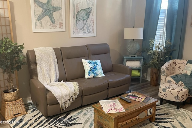 living room with hardwood / wood-style floors