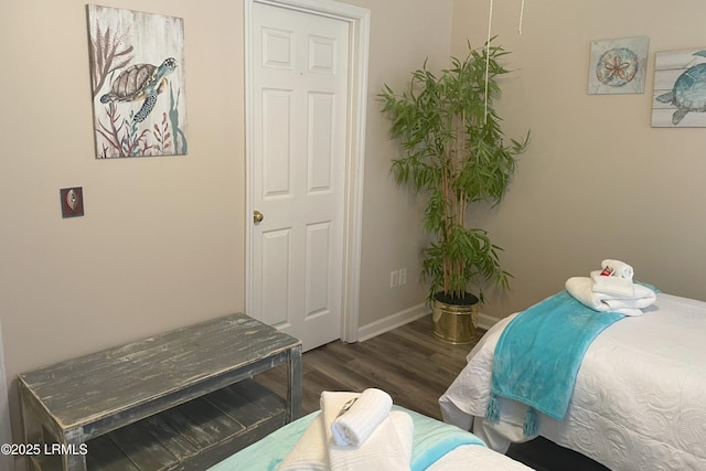 bedroom featuring dark wood-type flooring