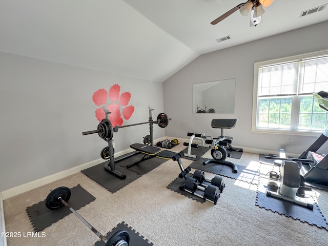 237 Frog Hollow Holw, Varnville, SC 29944 - photo 13